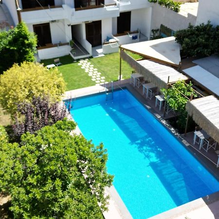 Tree Of Life Art Hotel Agia Marina Екстериор снимка